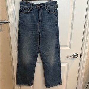 Zara Classic Indigo Straight Jeans